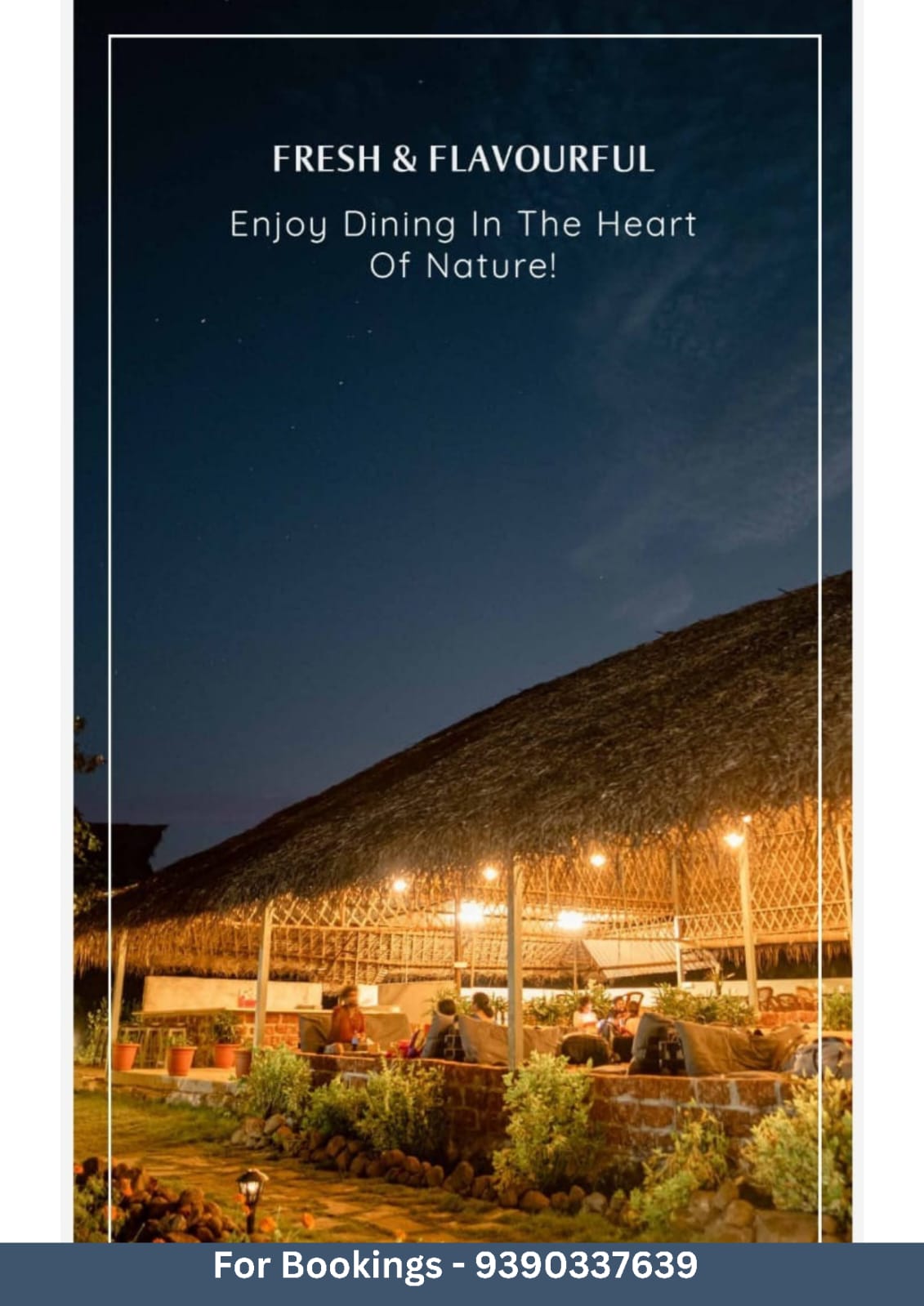 Anathagiri Hills Camping at Night