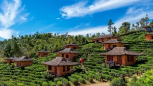 Ooty Itinerary